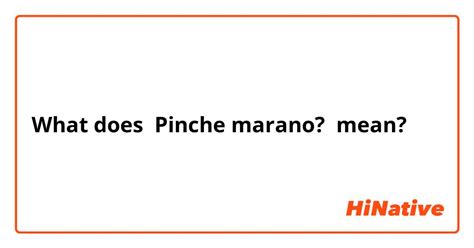 what does pinche mean spanish|pinche spanish meaning.